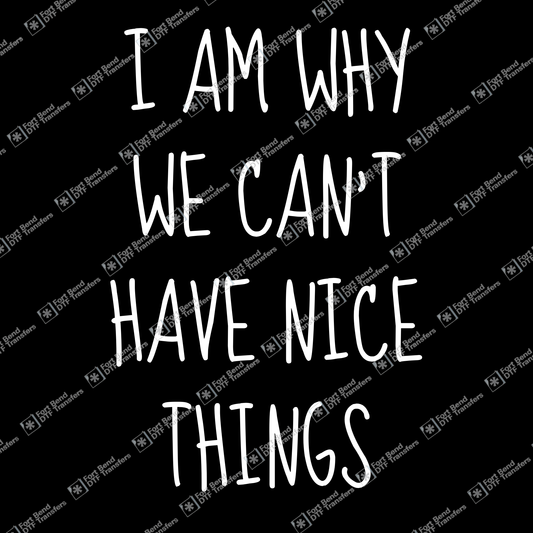 I Am Why We Can't Have Nice Things